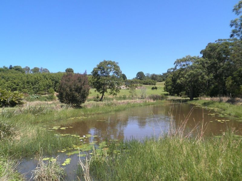 42 Johnson Road, Mapleton QLD 4560