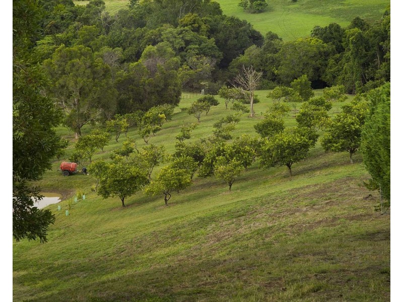 39 Philipps Road, Dulong QLD 4560