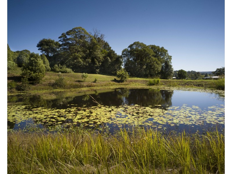 39 Philipps Road, Dulong QLD 4560