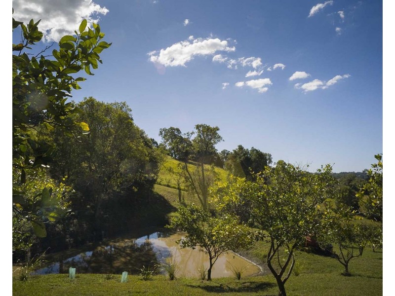 39 Philipps Road, Dulong QLD 4560