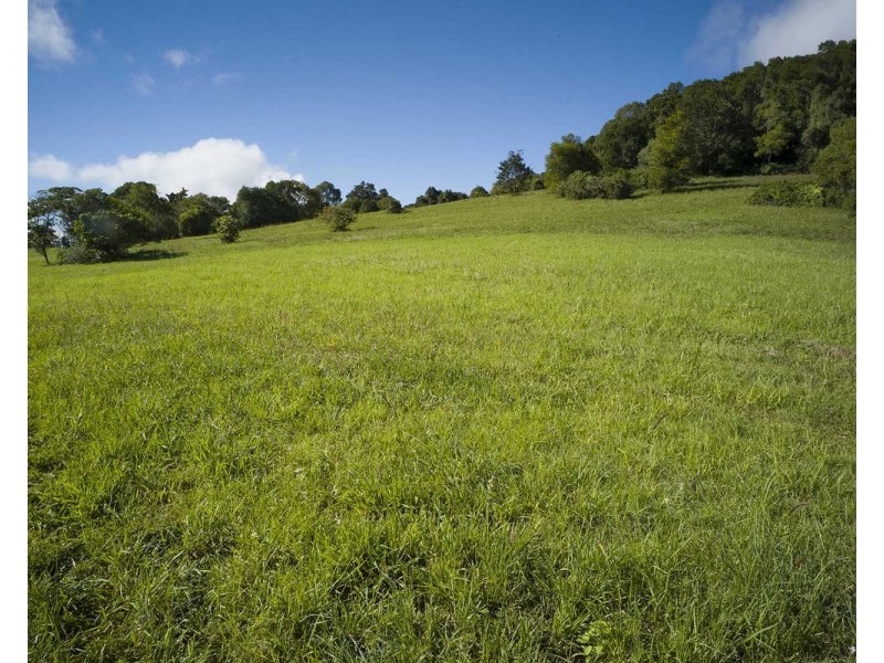 39 Philipps Road, Dulong QLD 4560