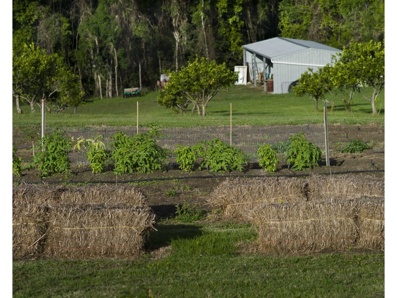 39 Philipps Road, Dulong QLD 4560