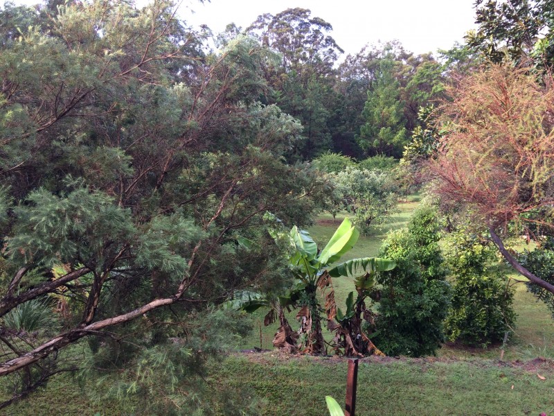 17 Skorpil Lane, Landers Shoot QLD 4555