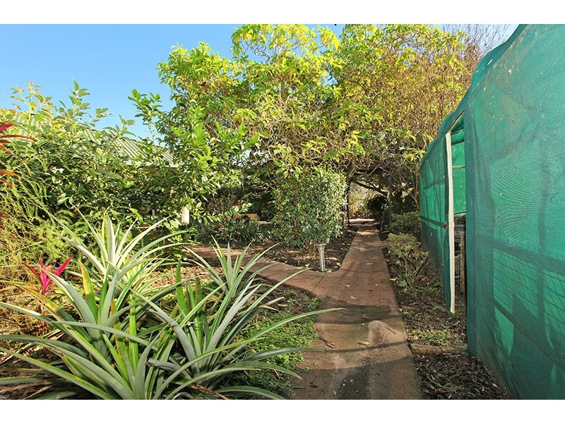 5 Remington Rise, Palmwoods QLD 4555