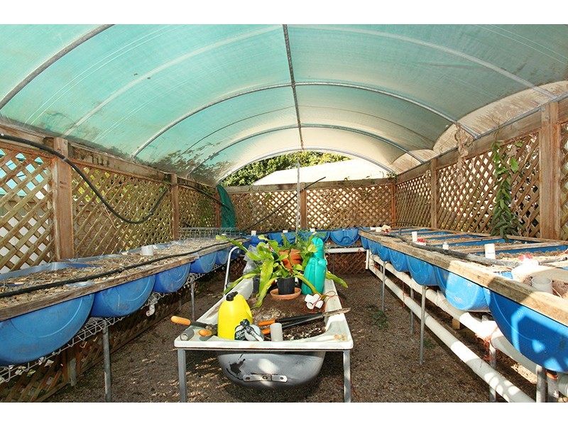 5 Remington Rise, Palmwoods QLD 4555