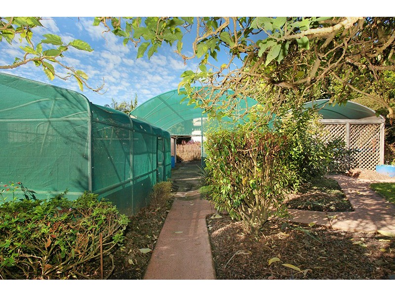 5 Remington Rise, Palmwoods QLD 4555