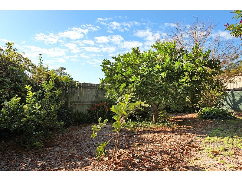 5 Remington Rise, Palmwoods QLD 4555