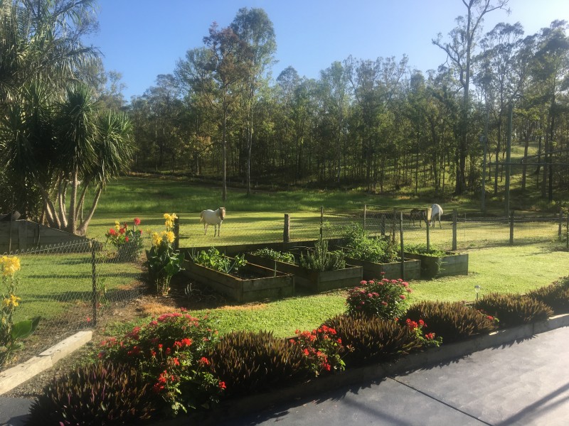 220 Ballard Road, Imbil QLD 4570
