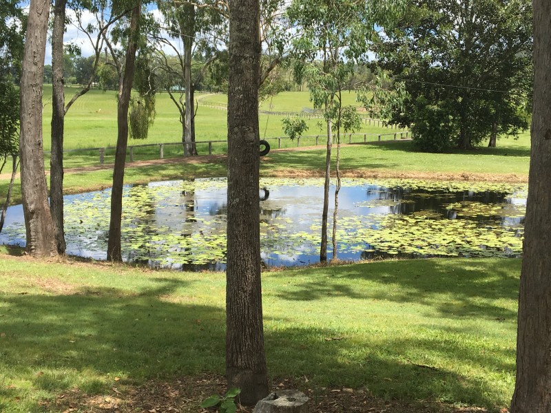 220 Ballard Road, Imbil QLD 4570