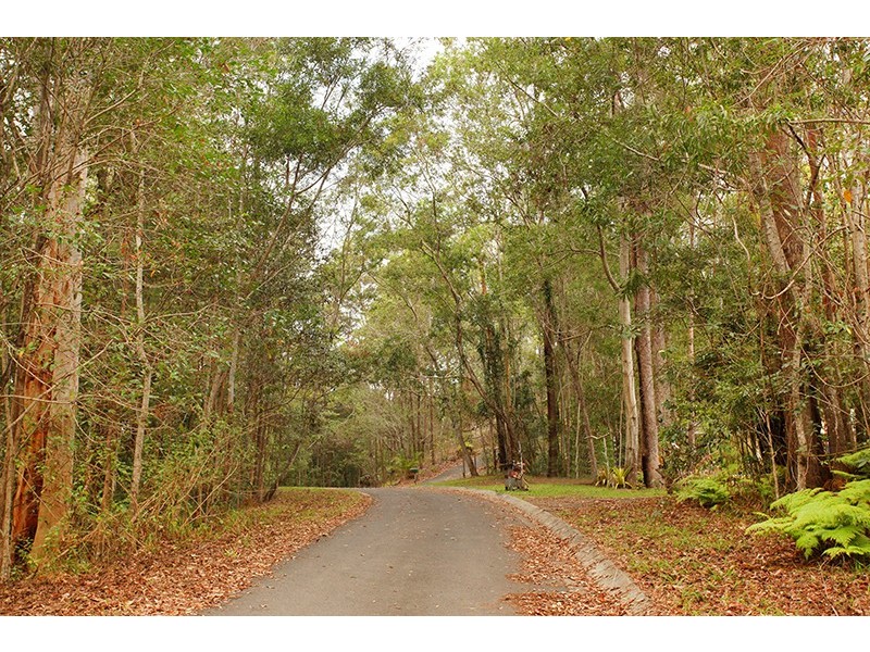 36 Platypus Creek Road, Dulong QLD 4560