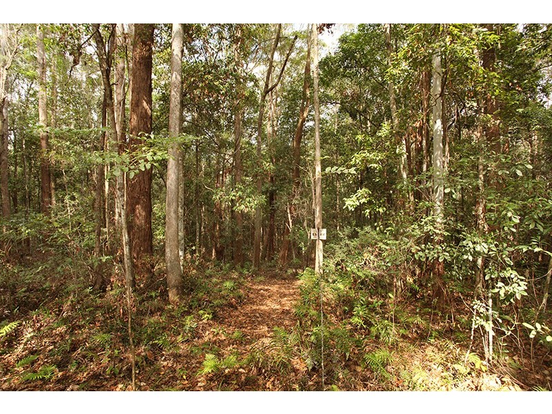 36 Platypus Creek Road, Dulong QLD 4560