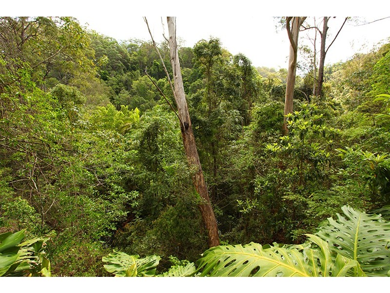 264 Hillcrest Road, Kiamba QLD 4560