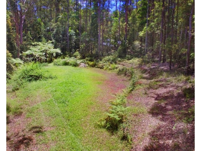 110 Delicia Road, Mapleton QLD 4560