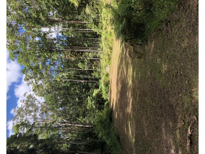 110 Delicia Road, Mapleton QLD 4560