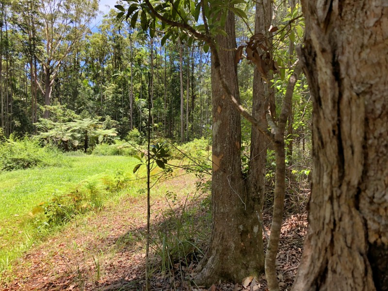 110 Delicia Road, Mapleton QLD 4560