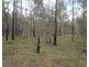 13 Prawle Street, Howard QLD 4659