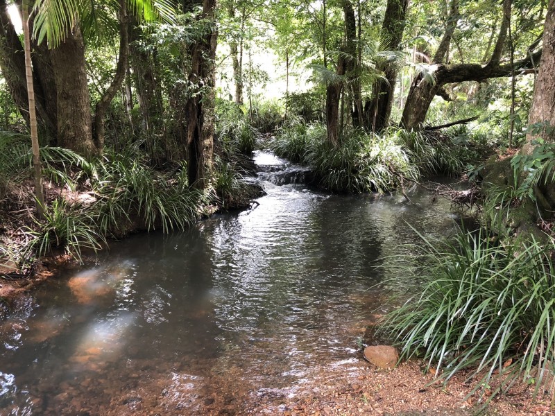 104 Smith Road, Mapleton QLD 4560