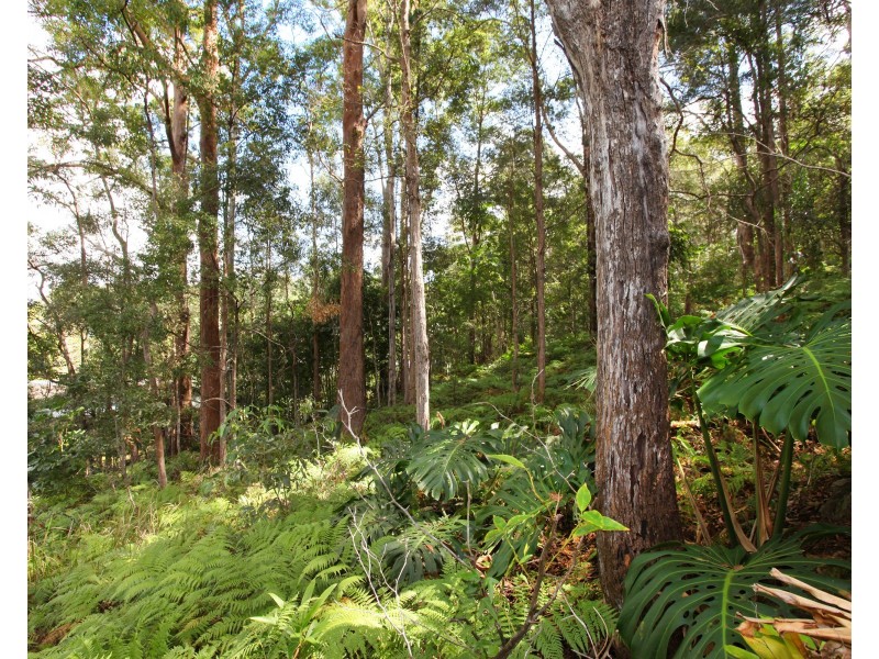 16 Campbell Close, Nambour QLD 4560