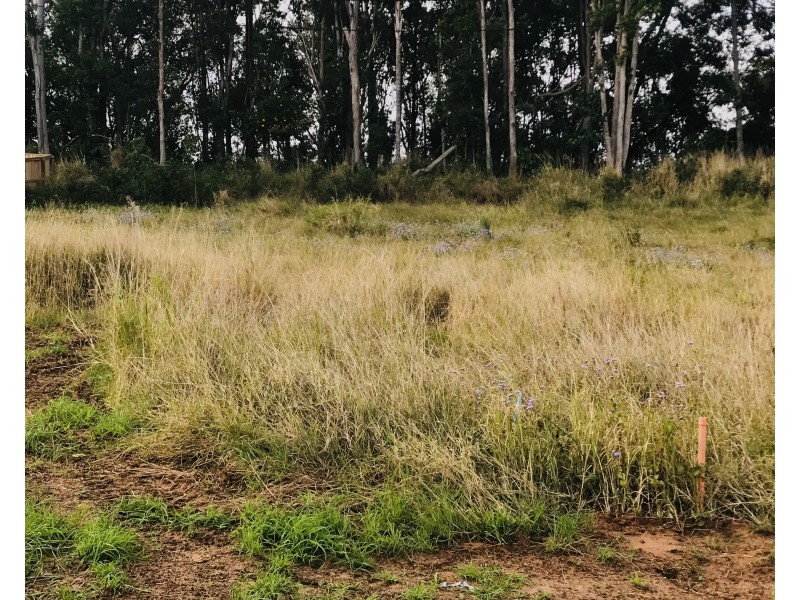 39 Egret Street, Woombye QLD 4559