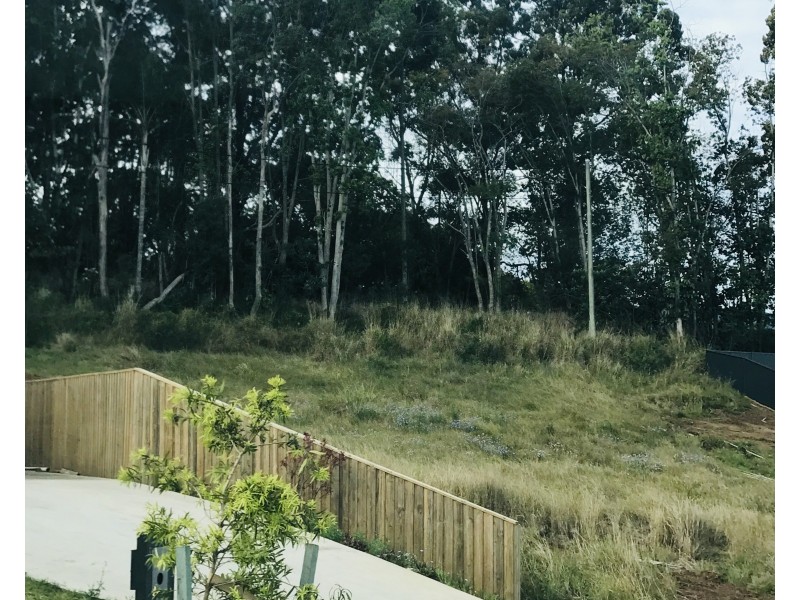 39 Egret Street, Woombye QLD 4559