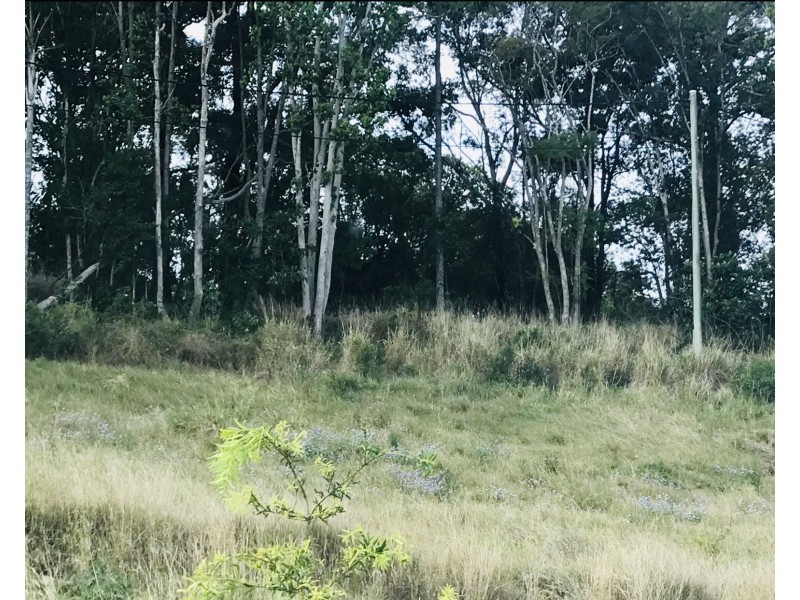 39 Egret Street, Woombye QLD 4559