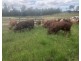 220 Ballard Road, Imbil QLD 4570