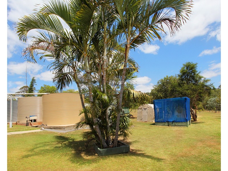 21 Settlement Road, Curra QLD 4570