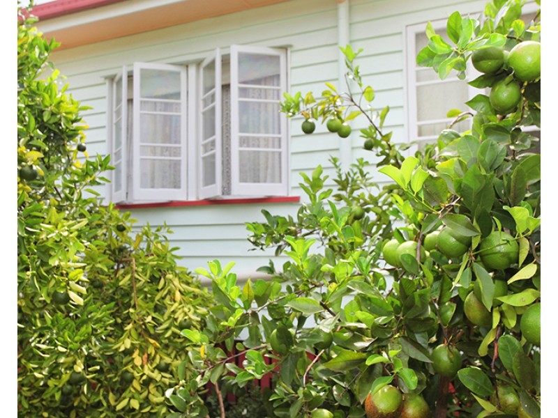 53 Carter Road, Nambour QLD 4560