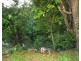 1206-1210 Yabba Creek Road, Imbil QLD 4570
