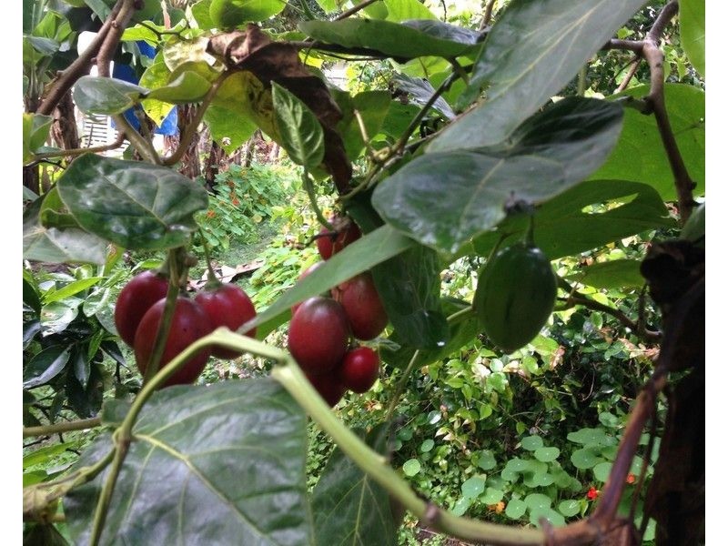 26 Valley View Street, Burnside QLD 4560