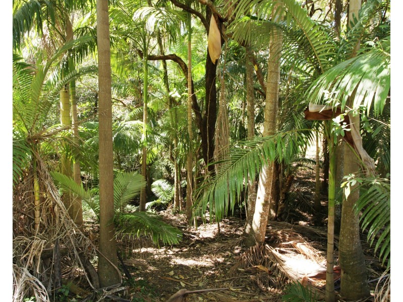 201 Windsor Road, Nambour QLD 4560