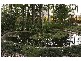 Nambour QLD 4560