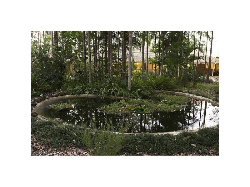 Nambour QLD 4560