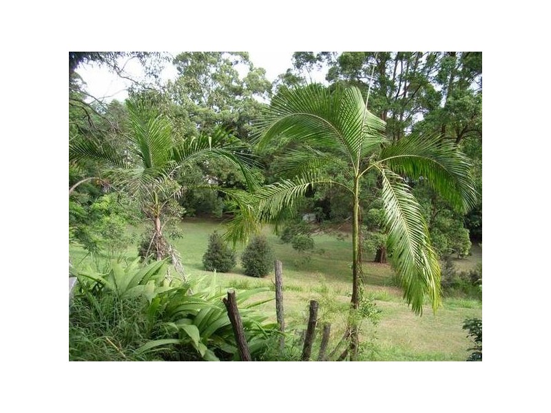 Nambour QLD 4560