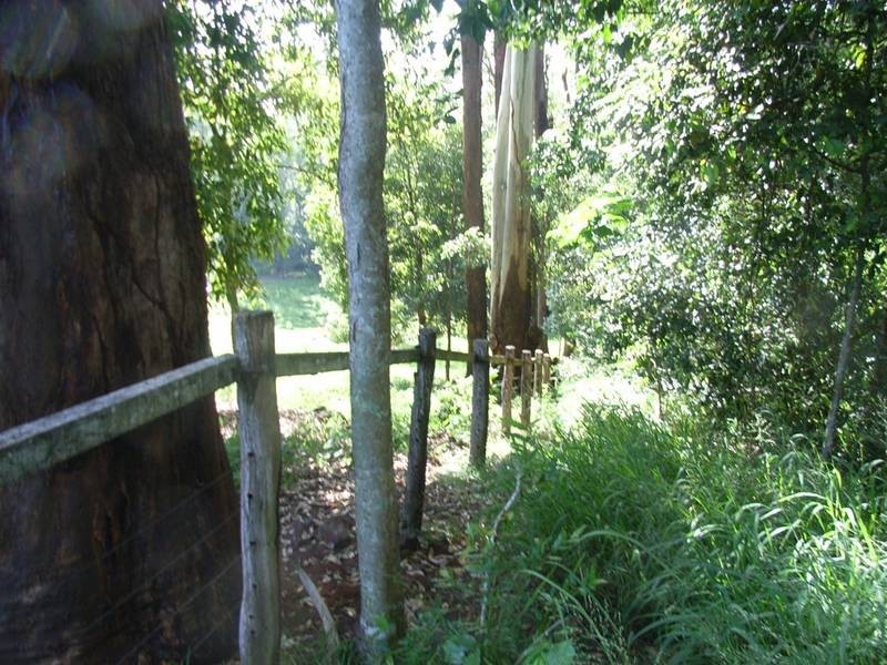 Woombye QLD 4559
