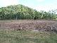 Maroochy River QLD 4561