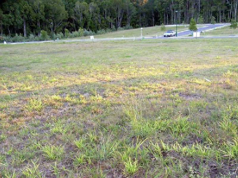 Nambour QLD 4560