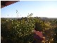 Woombye QLD 4559