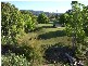 Mapleton QLD 4560
