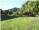 Mapleton QLD 4560
