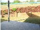 Nambour QLD 4560
