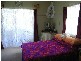 Nambour QLD 4560