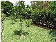 Yandina QLD 4561