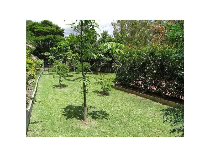 Yandina QLD 4561