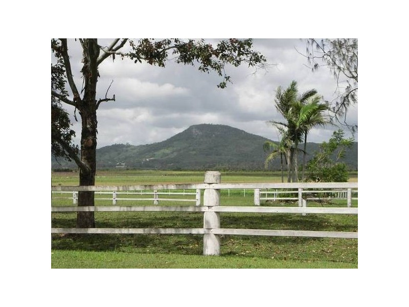 Yandina Creek QLD 4561