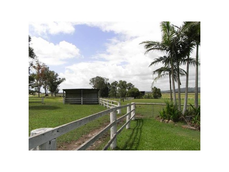 Yandina Creek QLD 4561