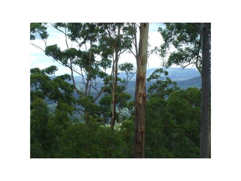 Towen Mountain QLD 4560
