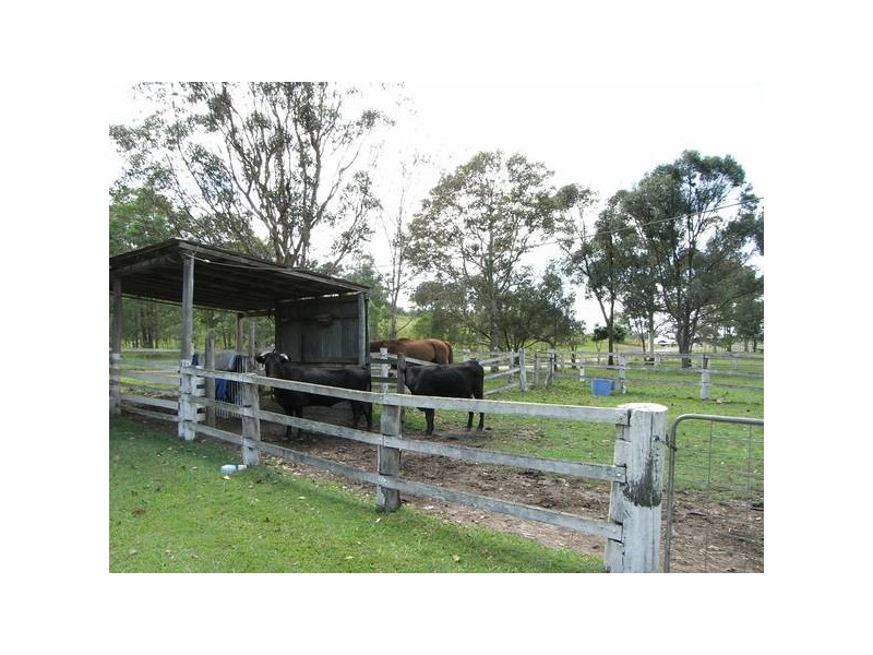 Yandina Creek QLD 4561