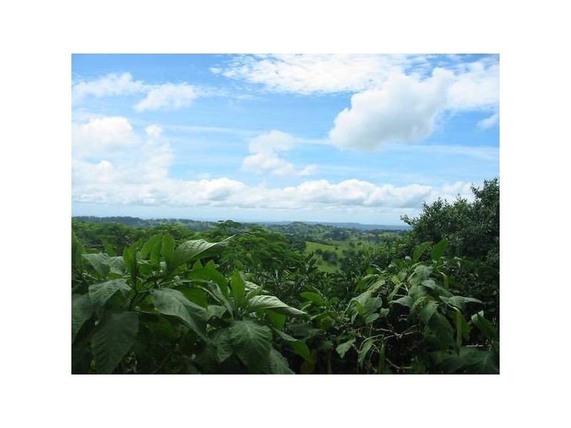 17 Juniper Court, Mapleton QLD 4560