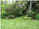 Yandina QLD 4561